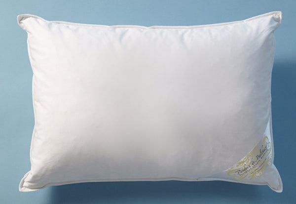 17 by 24 overstuffed feather pillow insert